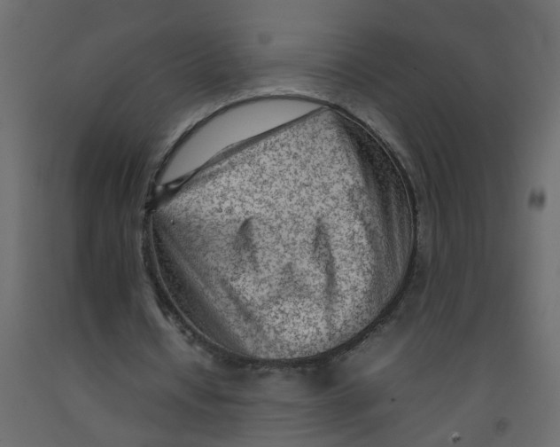 X0000092090434200710101104
