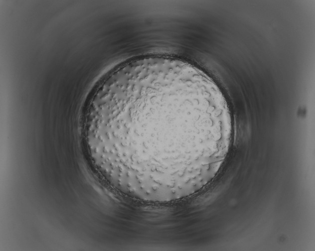X0000092090435200710101104