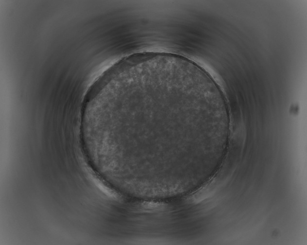 X0000092090437200710101104