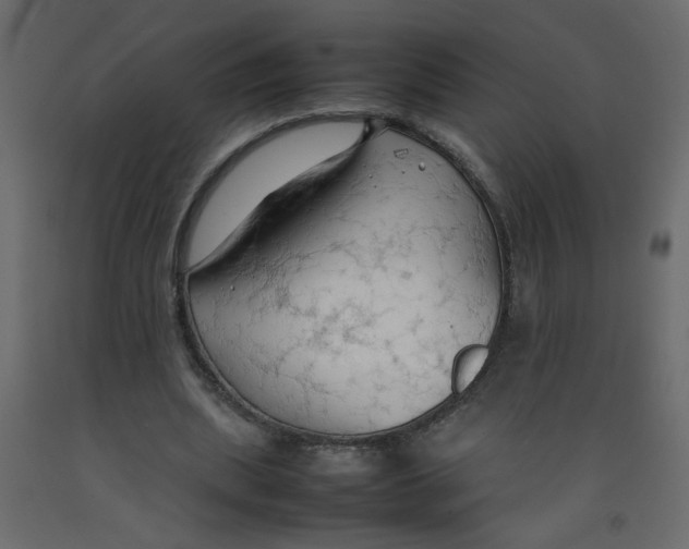 X0000092090439200710101104