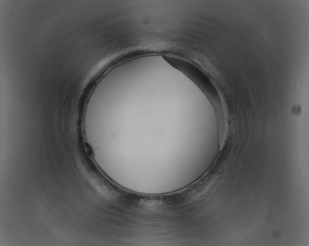 X0000092090440200710101104