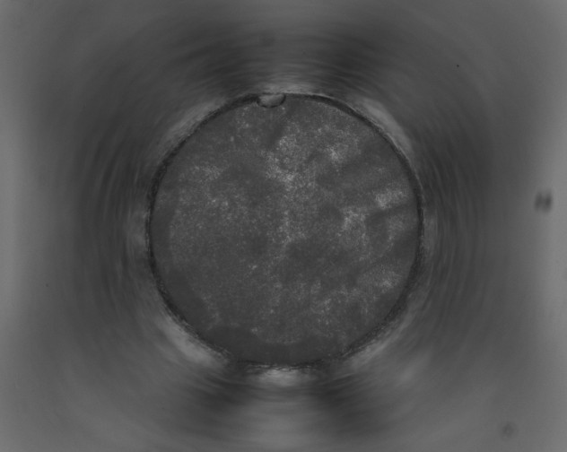 X0000092090441200710101104