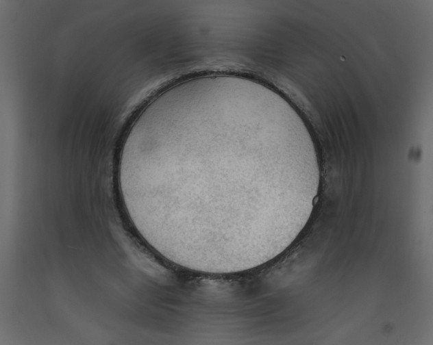 X0000092090442200710101104