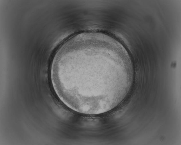 X0000092090443200710101104