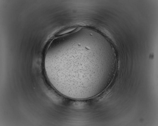 X0000092090444200710101104