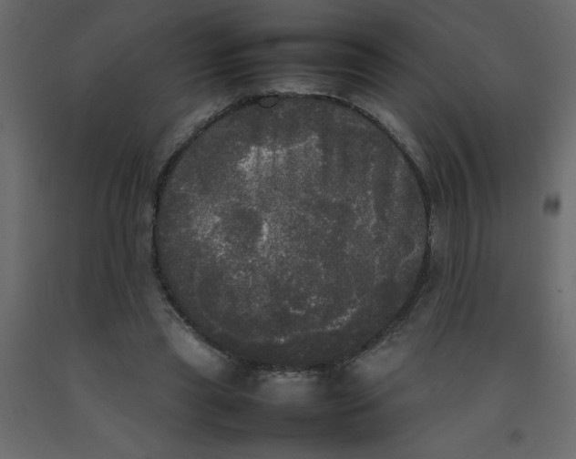 X0000092090445200710101104