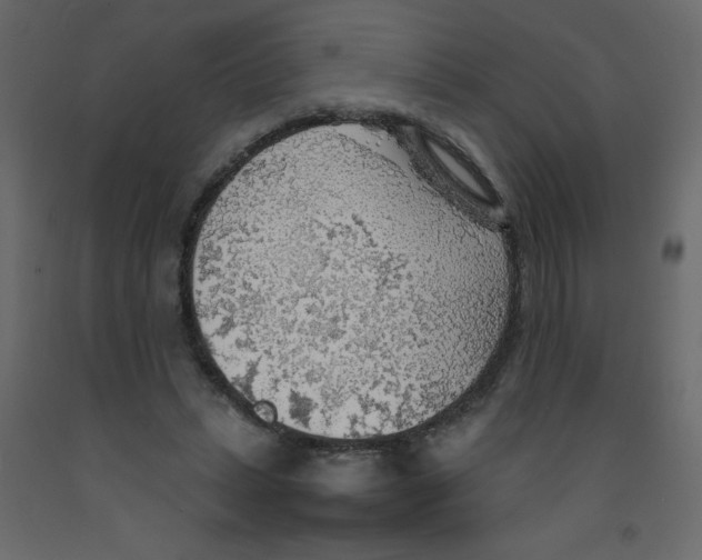 X0000092090447200710101104