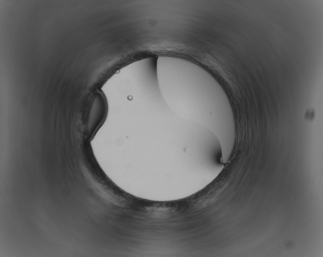 X0000092090448200710101104