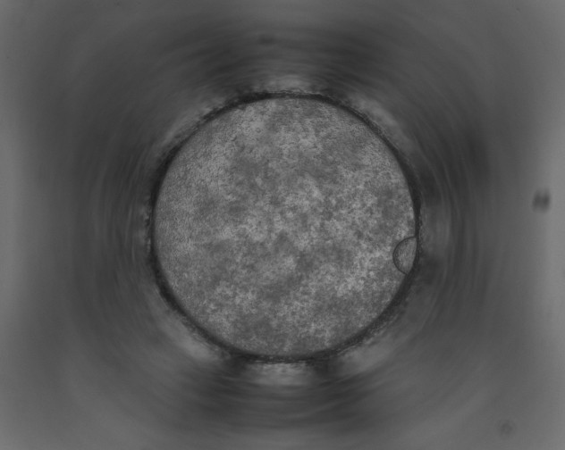 X0000092090449200710101104