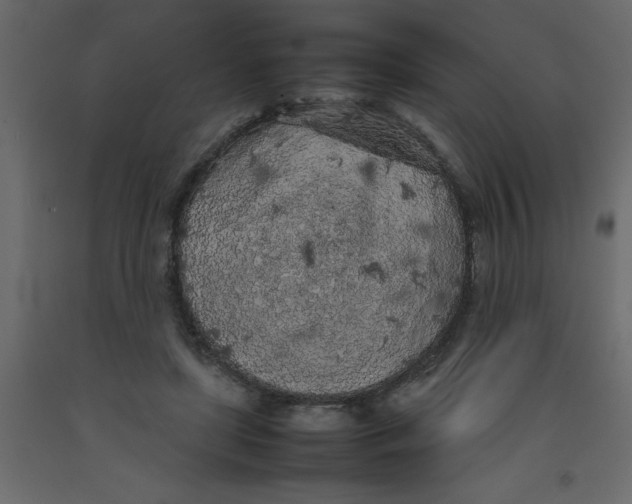 X0000092090451200710101104