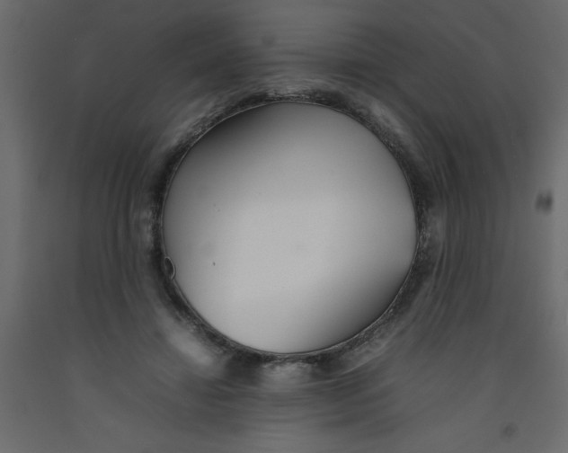X0000092090452200710101104