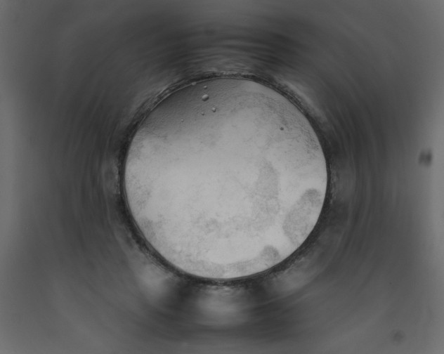 X0000092090453200710101104