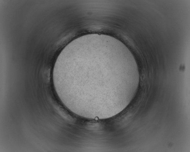 X0000092090454200710101104