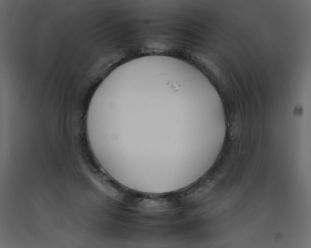 X0000092090455200710101104