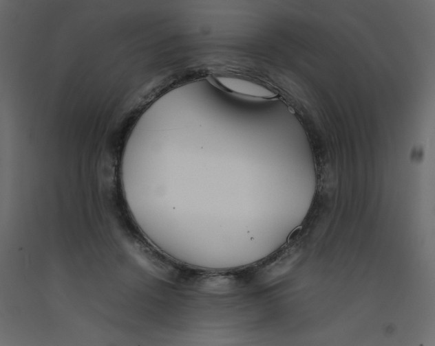 X0000092090456200710101104