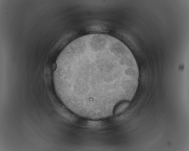 X0000092090457200710101105