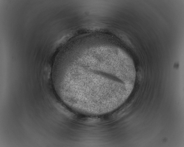 X0000092090458200710101105