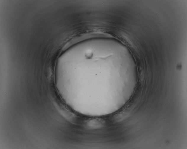 X0000092090459200710101105