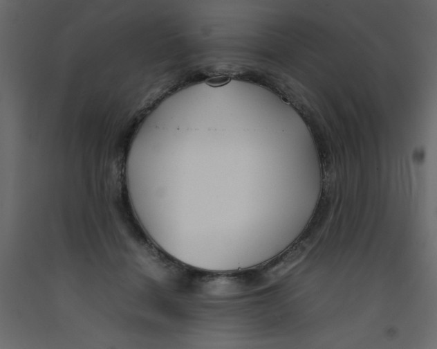 X0000092090460200710101105