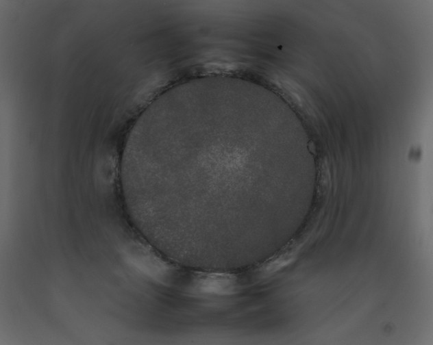 X0000092090463200710101105
