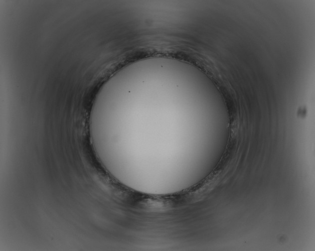 X0000092090464200710101105