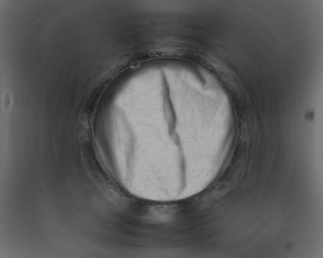 X0000092090465200710101105