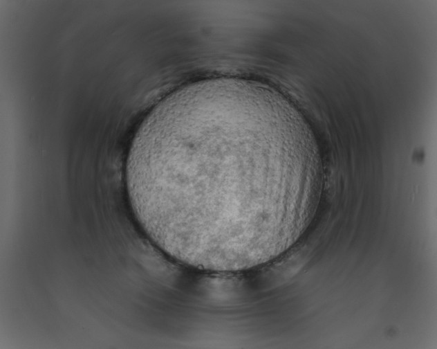 X0000092090466200710101105