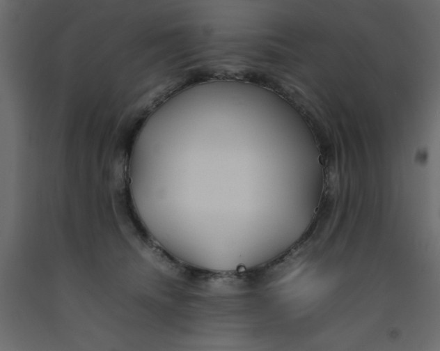 X0000092090468200710101105