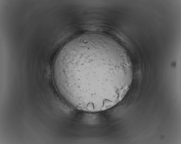 X0000092090469200710101105