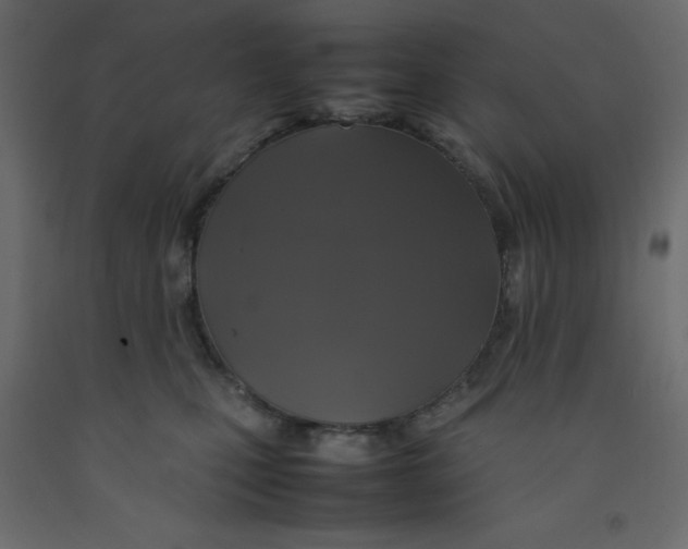 X0000092090471200710101105