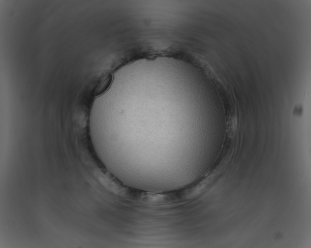 X0000092090472200710101105