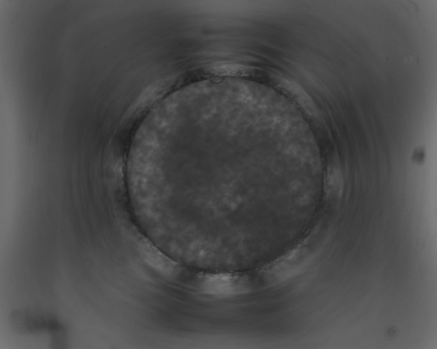 X0000092090473200710101105