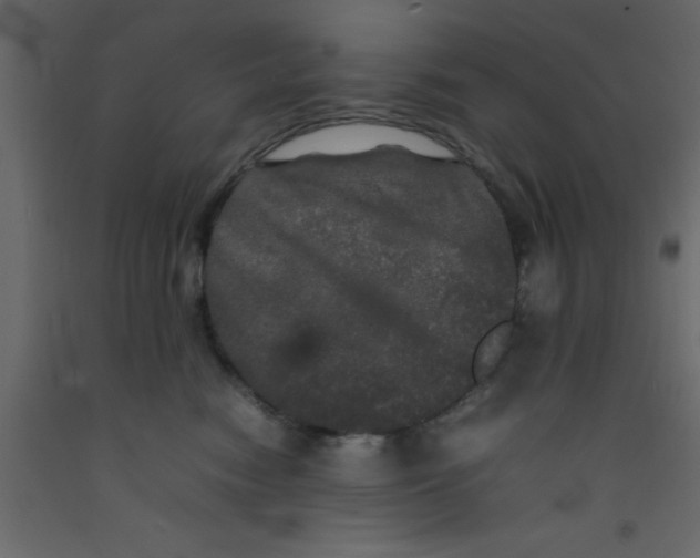 X0000092090474200710101105