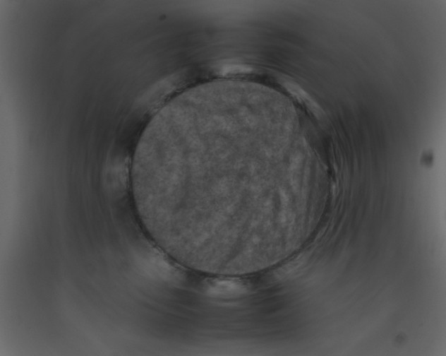 X0000092090475200710101105