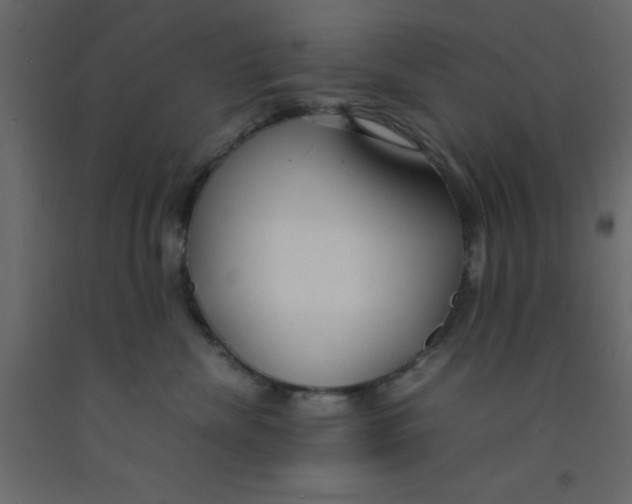 X0000092090476200710101105