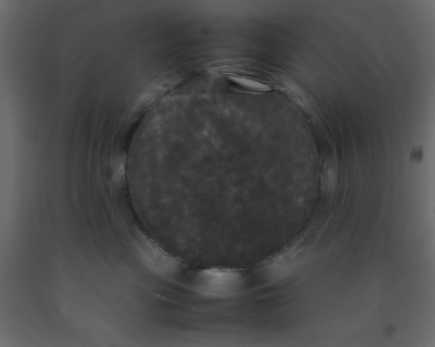 X0000092090477200710101105