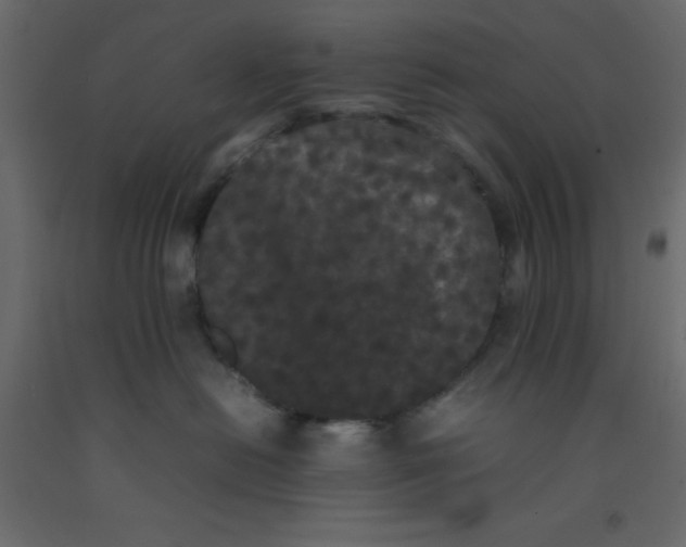 X0000092090478200710101105