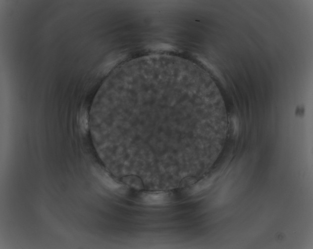 X0000092090479200710101105