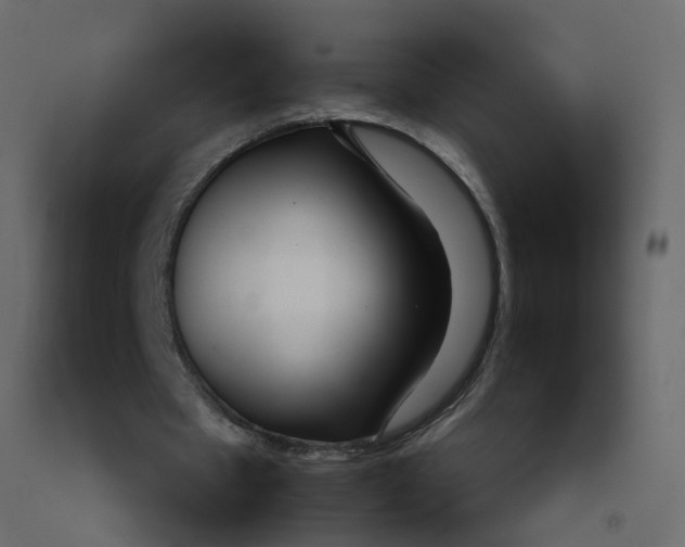 X0000092090481200710101104