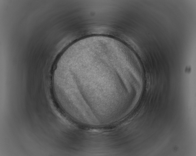 X0000092090482200710101104