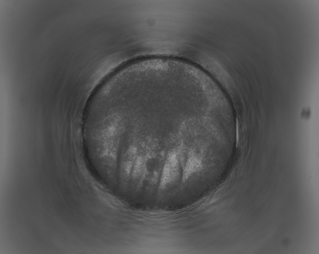 X0000092090483200710101104