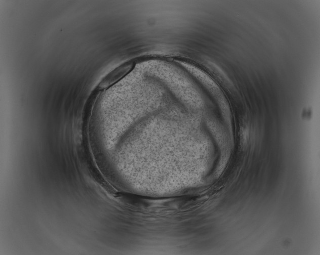 X0000092090484200710101104
