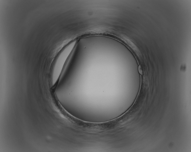 X0000092090485200710101104