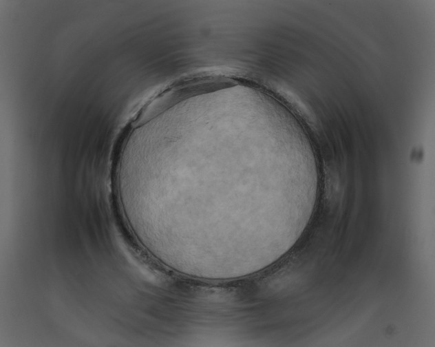 X0000092090486200710101104