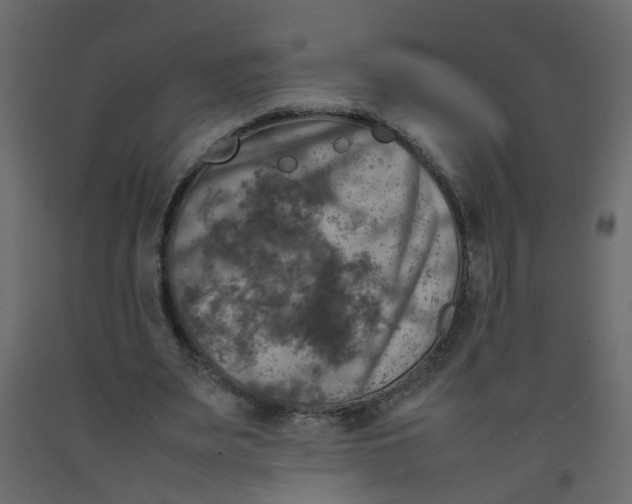 X0000092090487200710101104