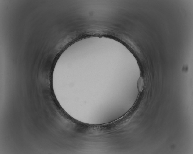 X0000092090489200710101104