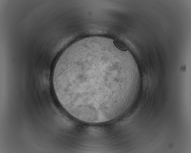 X0000092090490200710101104