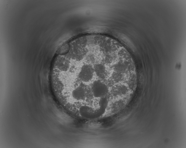 X0000092090491200710101104