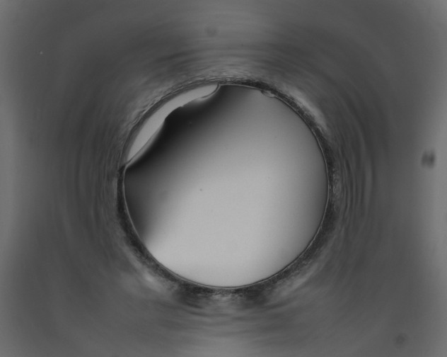 X0000092090493200710101104