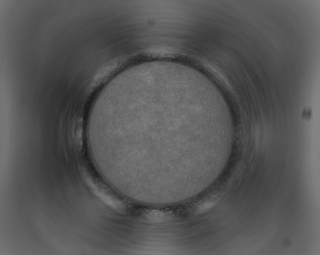 X0000092090494200710101104